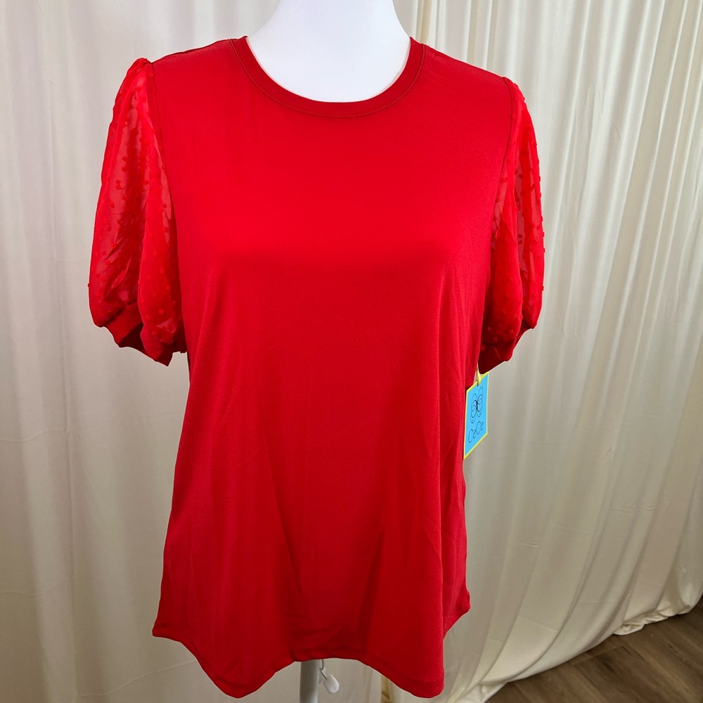 Red Blouse with Bubble Sheer Sleeves